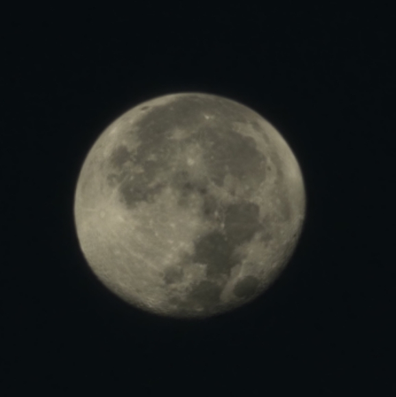 Meet your Posher, Conner - Picture 4 of 7